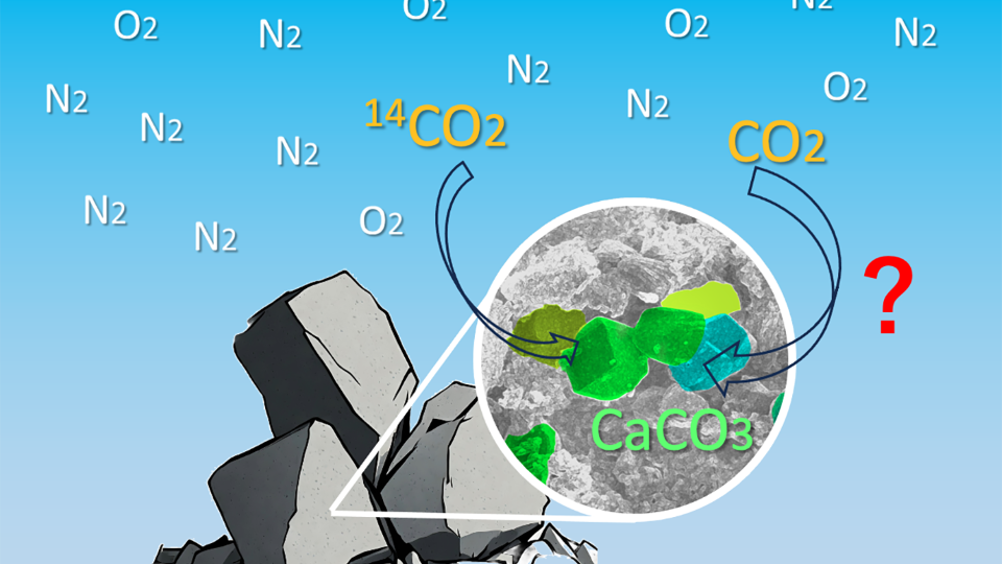 Carbon emissions from burning fossil fuels contains very little carbon-14 (14C) because it has decayed so much over time. This makes carbon-14 very useful for tracing carbon emissions from natural compared to human sources
