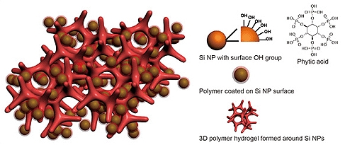 This is an illustration of a new battery electrode made from a composite of hydrogel and silicon nanoparticles (Si NP). Each Si NP is encapsulated in a conductive polymer surface coating and connected to a three-dimensional hydrogel framework