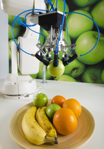 The robot is able to grip the fruit without damaging it 