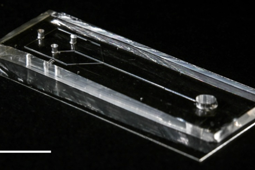 The microfluidic device. Precursor spidroin solution is placed at one end and then pulled towards the other end by means of negative pressure. As the spidroins flow through the microfluidic channels, they are exposed to precise changes in the chemical and physical environment, and self-assemble into silk fibres