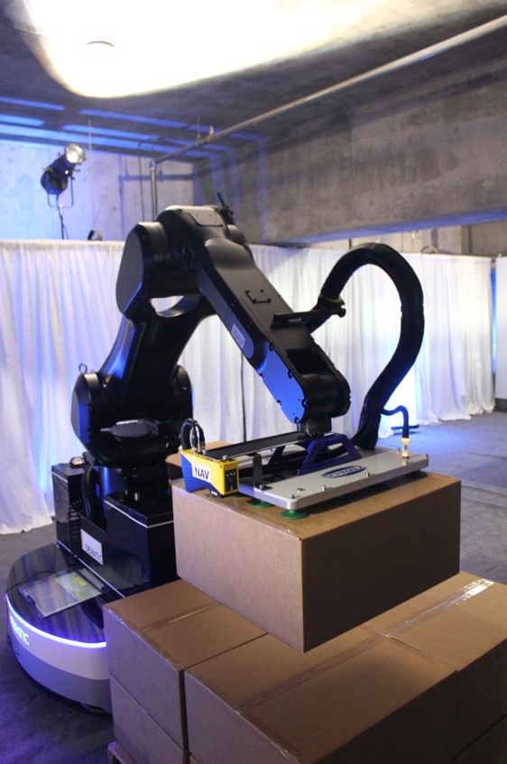 Dematic-Robotic-Case-Picking