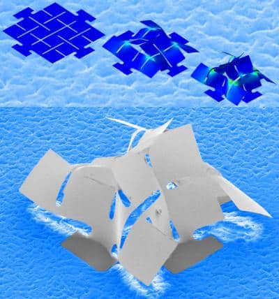 A new assembly method based on an ancient Japanese paper art quickly transforms 2-D structures into complex 3-D shapes.