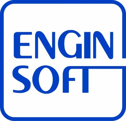 LogoEnginSoft