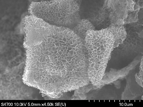 A field emission scanning electron microscopy (FESEM) image of 3D honeycomb-structured graphene. The material can replace platinum in dye-sensitised solar cells with virtually no loss of generating capacity