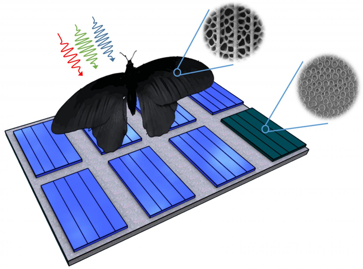 solar cells