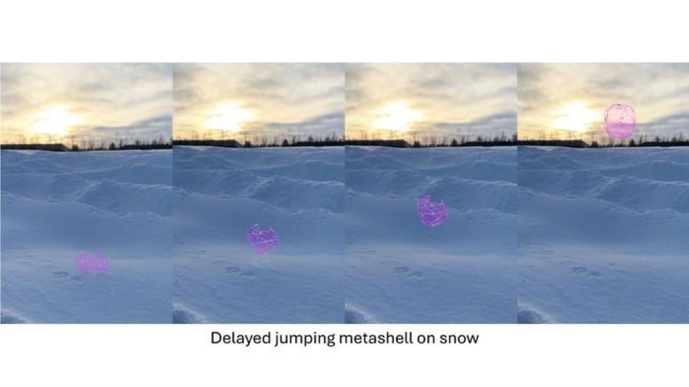 This image combines time-lapsed photos to show ‘metashells’ leaping into the air from a snowy surface