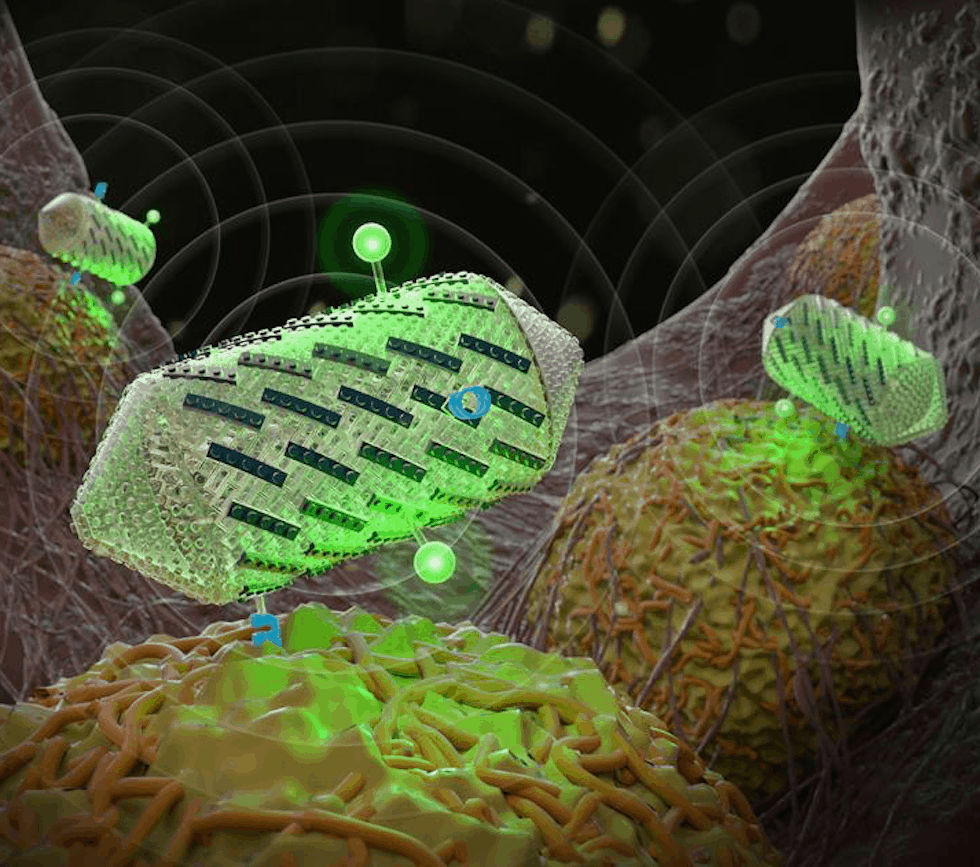 Gas vesicles – which can be engineered with proteins to improve ultrasound methods - can help detect specific cell types and create multicolour images (Credit: Barth van Rossum for Caltech)