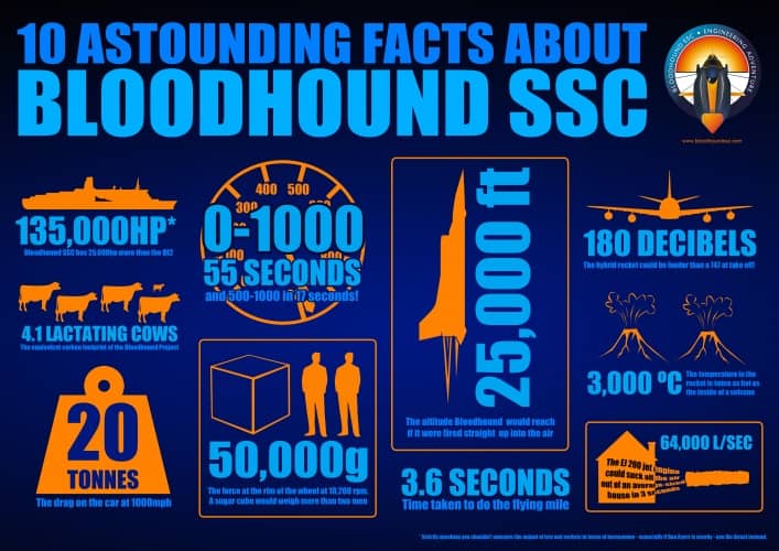 bloodhound infographic