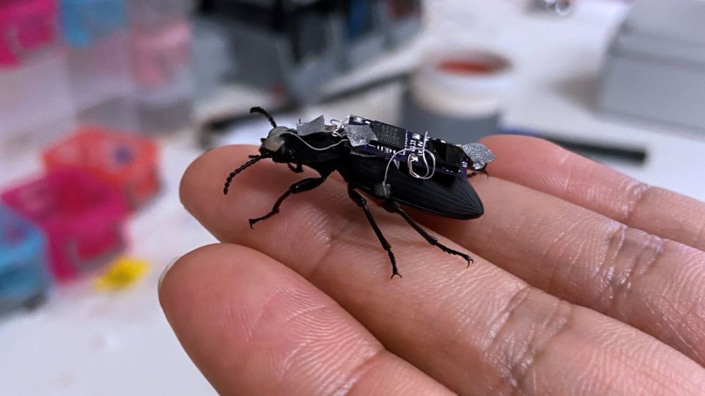 Insect-scale robots are considered potential candidates that could one day penetrate rubble of collapsed structures to search for survivors in post-disaster scenarios