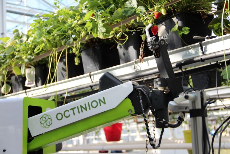 Strawberry picking robot