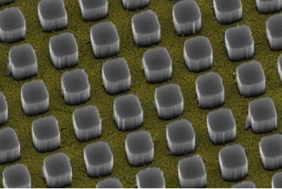 Silicon pillars emerge from nanosize holes in a thin gold film. The pillars funnel 97 percent of incoming light to a silicon substrate, a technology that could significantly boost the performance of conventional solar cells.