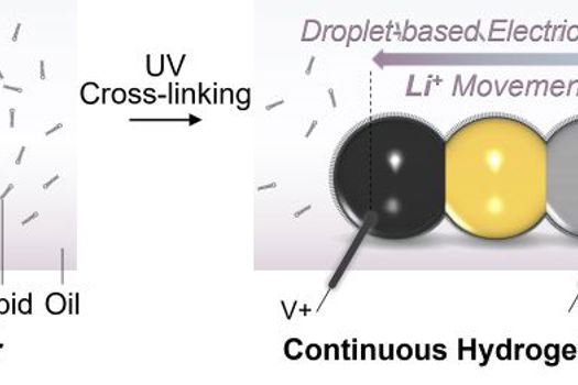 The development of tiny, soft and biocompatible batteries to power minimally invasive biomedical devices is of critical importance. Here the authors present a microscale soft rechargeable lithium-ion battery based on the surfactant-supported assembly of silk hydrogel droplets. Scale bar: 400μm