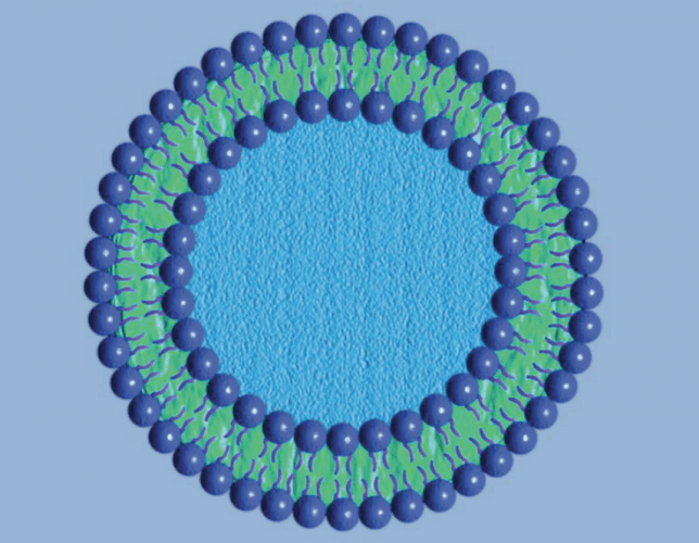 liposomes