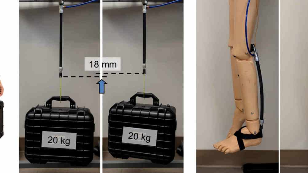 Left: Evaluation of the effect of the assistance on the activity of the biceps muscle while lifting a weight of 5kg. Results showed that on average the muscle activity was reduced by 39 per cent with assistance compared to the condition without wearing the device. Middle: Demonstration of high assistive force: the muscle can lift a 20kg object 18mm off the ground. Right: Proof-of-concept demonstration of wearable robot application to assist ankle plantar flexion