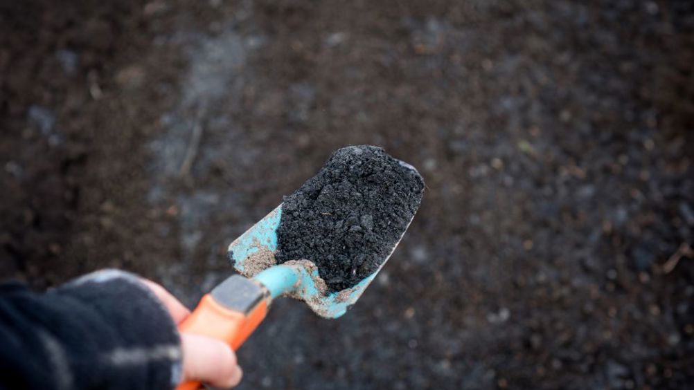 Converting food-waste digestate, a residue from biogas production, into biochar offers a low-cost, high-impact climate solution