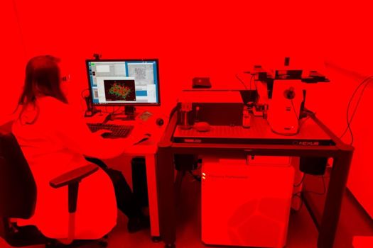 Researcher using nanoscribe – the printing has to be undertaken in orange light