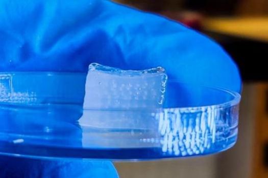 A centimetre cube cartilage construct via High-throughput Integrated Tissue Fabrication System for Bioprinting (HITS-Bio) in the lab of Ibrahim Ozbolat at Penn State
