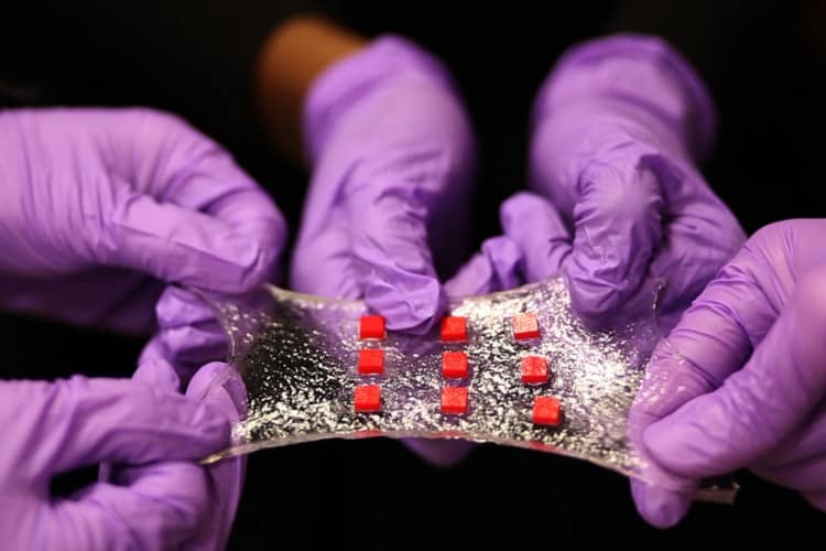 Here, a sheet of hydrogel is bonded to a matrix of polymer islands (red) that can encapsulate electronic components such as semiconductor chips, LED lights, and temperature sensors. (Credit: Melanie Gonick/MIT)