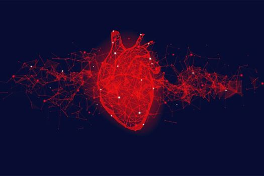 This research paves the way for digital heart twins to be used in large population studies