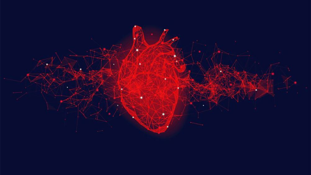 This research paves the way for digital heart twins to be used in large population studies