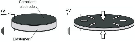 Planar expansion as seen in the squid