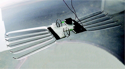 New bionic microrobot mimics the amazing water-walking movements of the water strider