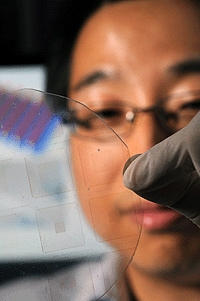Georgia Tech researcher Wenzhuo Wu holds an array of piezotronic transistors capable of converting mechanical motion directly into electronic controlling signals. The arrays are fabricated on flexible substrates