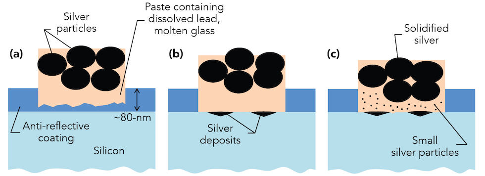 This illustration shows how silver contacts form on silicon solar cells