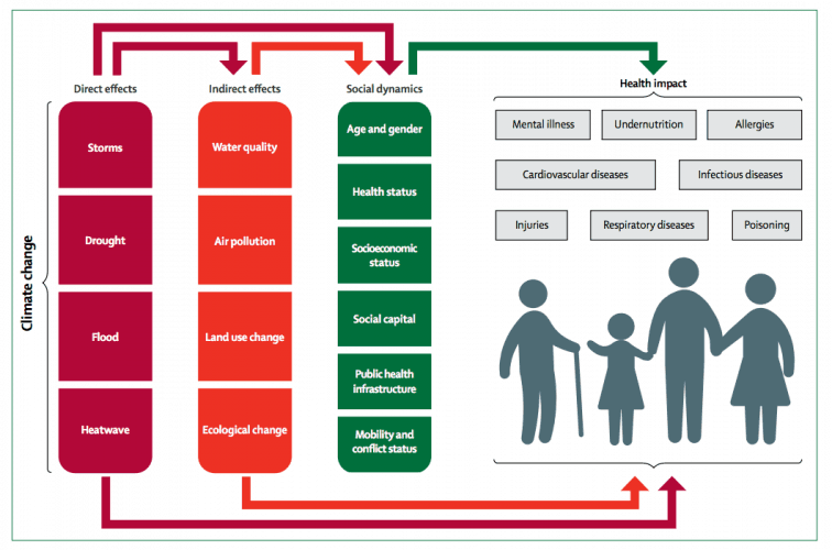  The direct and indirect effects of climate change on health and wellbeing