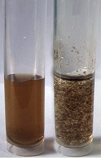The left-hand vial holds microscopic particles of graphene oxide in a solution. At right, graphene oxide is added to simulated nuclear waste, which quickly clumps for easy removal