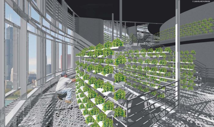 Could sky-farms like this represent the future of urban farming?